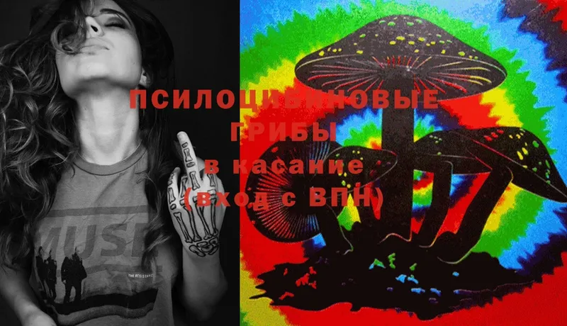 Псилоцибиновые грибы Magic Shrooms  как найти закладки  Дегтярск 